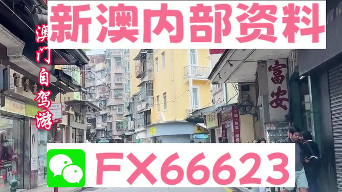 新澳精准资料免费提供,经典分析说明_领航款73.988