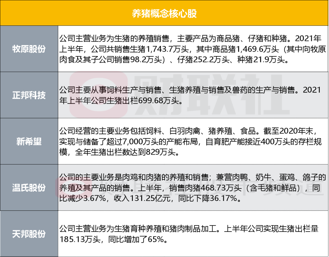 澳彩资料站199618,长期性计划定义分析_Essential43.451