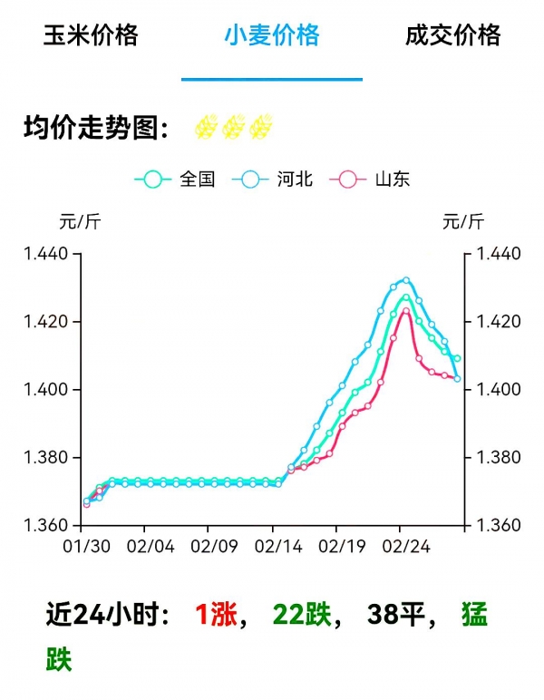 河北小麦最新价格分析与未来展望