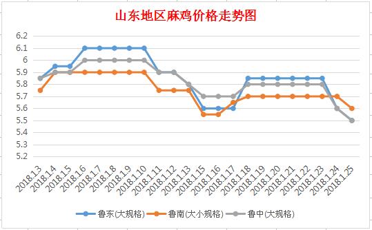 最新麻鸡价格走势与市场分析报告