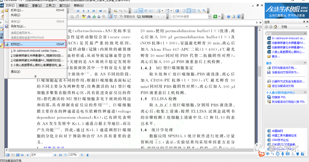 正版资料免费资料大全十点半,高速响应计划实施_工具版19.754