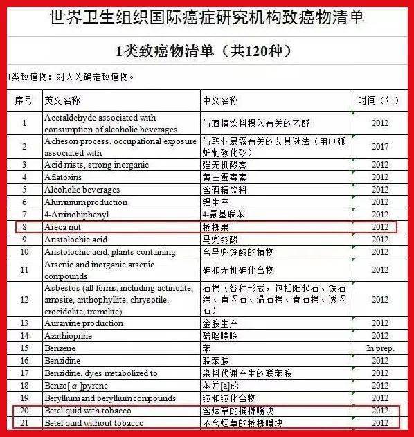 澳门广东八二站免费资料查询,定性说明评估_Holo80.215