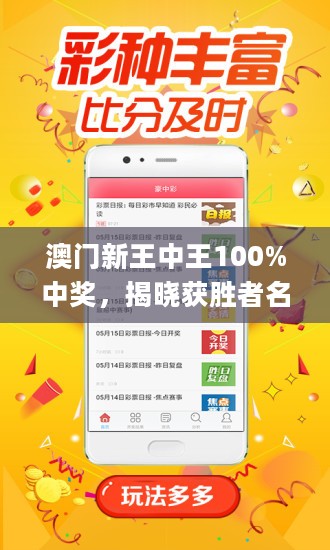 澳门王中王100%期期中,实践解答解释定义_限定版18.392