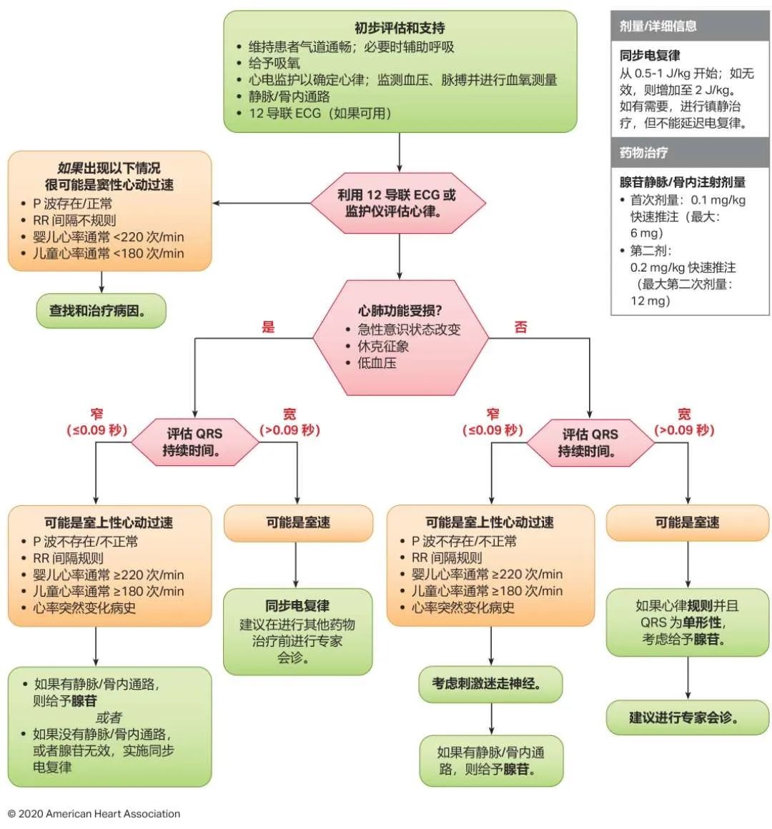 最新版心肺复苏指南，拯救生命的最新指引与操作标准