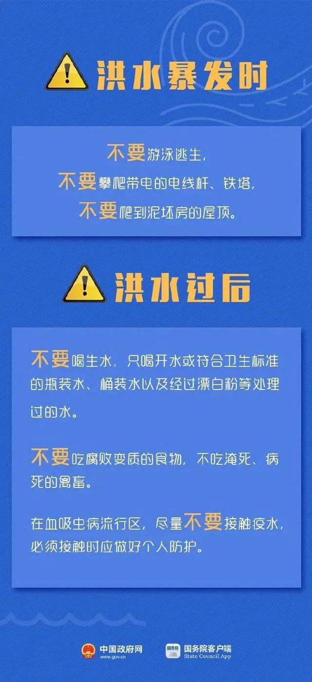 新澳2024今晚开奖资料四不像,仿真实现方案_入门版99.13