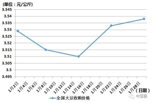 黄豆市场趋势分析，聚焦最新黄豆价格动态与预测（2016年）