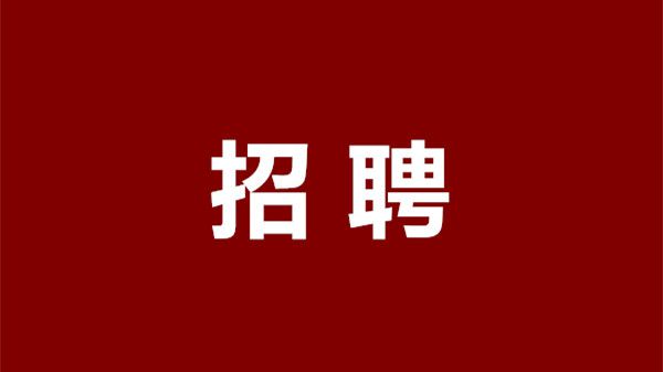 昆明驾驶员招聘市场现状、需求分析与求职指南