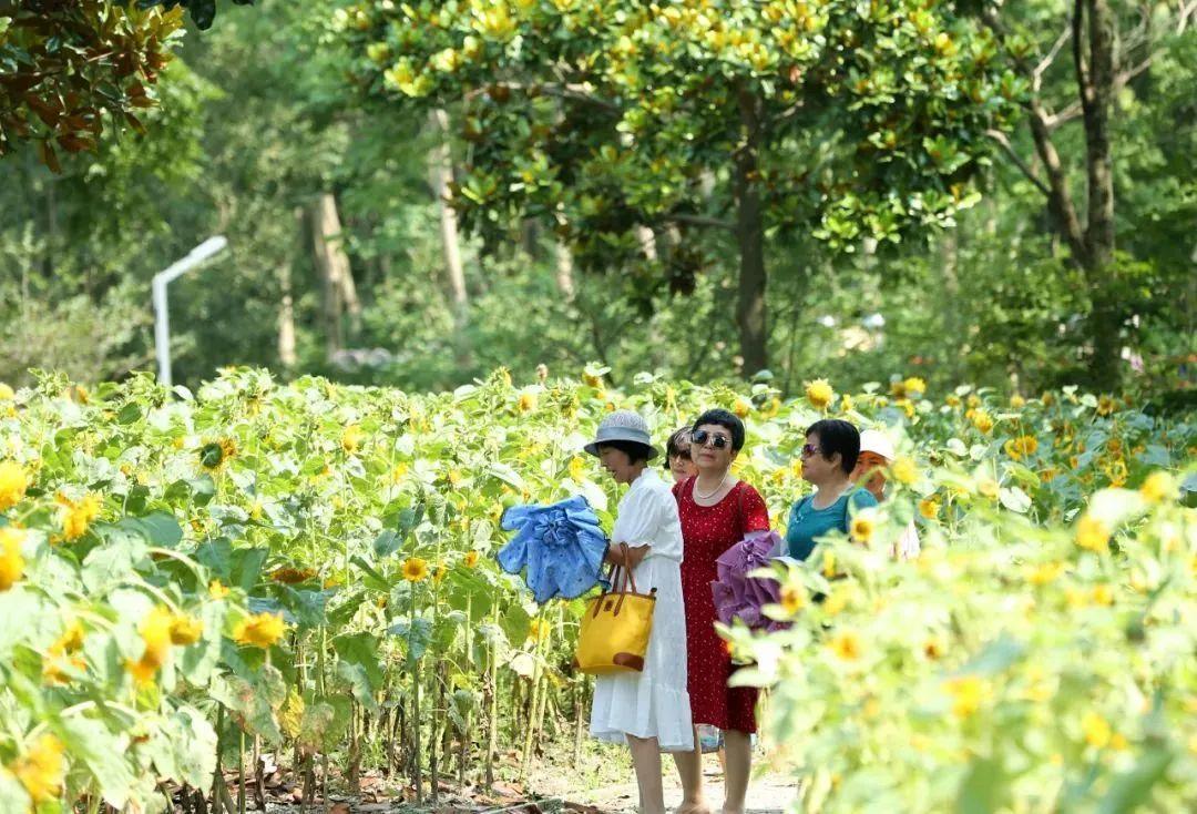 探索456最新地址，数字交汇点的未来引领者