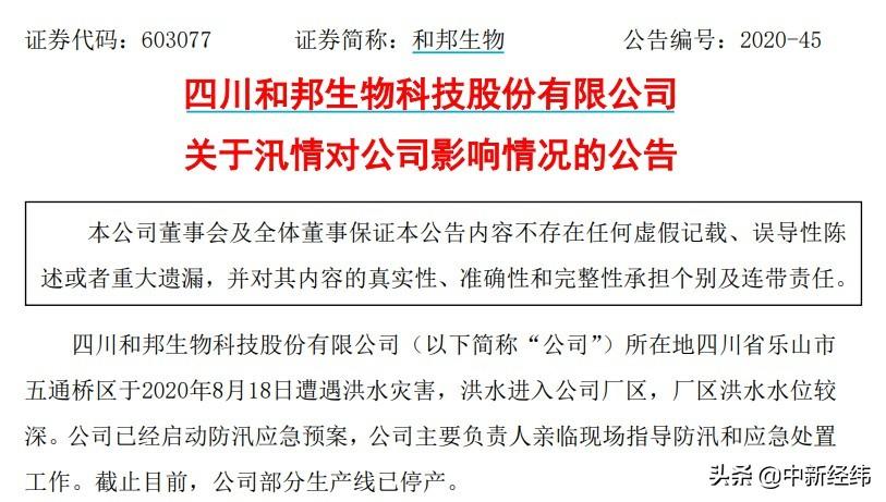 乐山和邦最新招聘启事公告