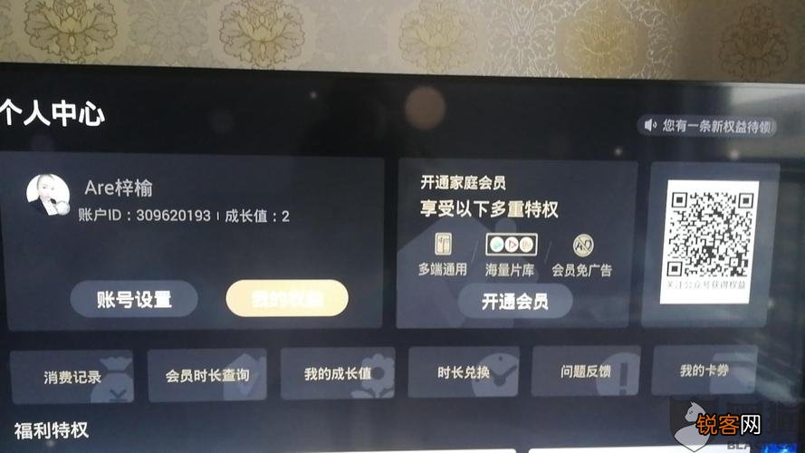 乐视VIP共享，全新体验与深度探索