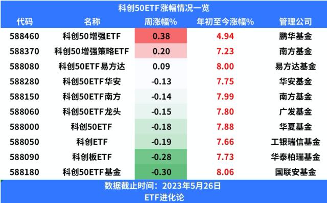 期权市场动态，最新上市消息与行业展望