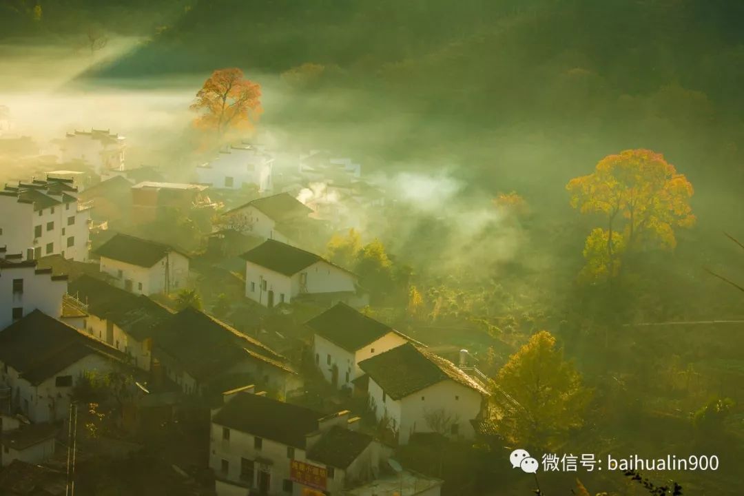 秋晨最新小说，城市边缘的奇幻冒险之旅