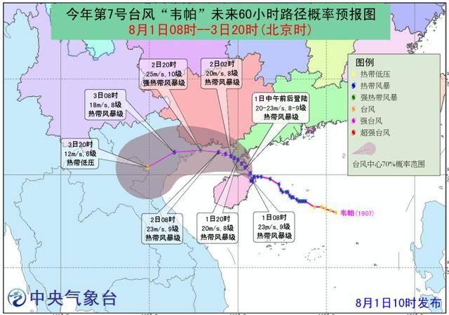 电白县最新动态全面解析